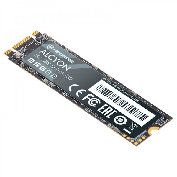 Nfortec Alcyon M.2 SSD SATAIII 256GB